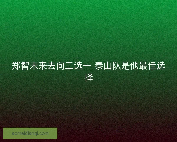 郑智未来去向二选一 泰山队是他最佳选择